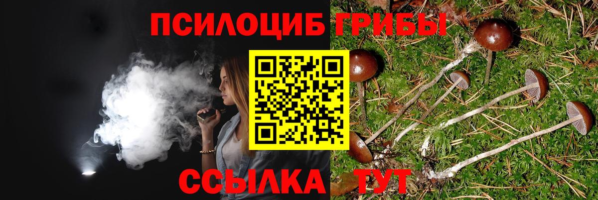 Новоуральск  Галлюциногенные грибы прущие грибы  Вход с VPN 